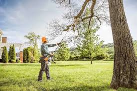 How Our Tree Care Process Works  in  White River Junction, VT